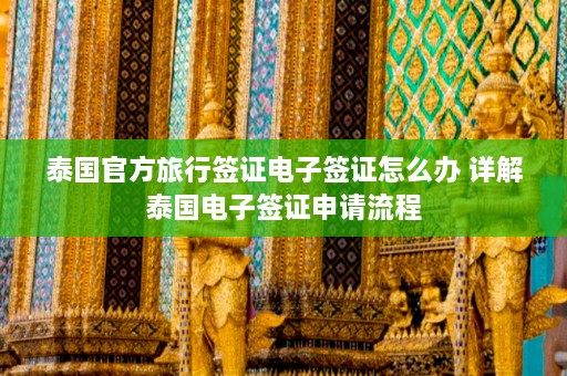 泰国官方旅行签证电子签证怎么办 详解泰国电子签证申请流程  第1张