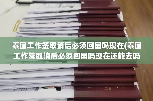 泰国工作签取消后必须回国吗现在(泰国工作签取消后必须回国吗现在还能去吗)