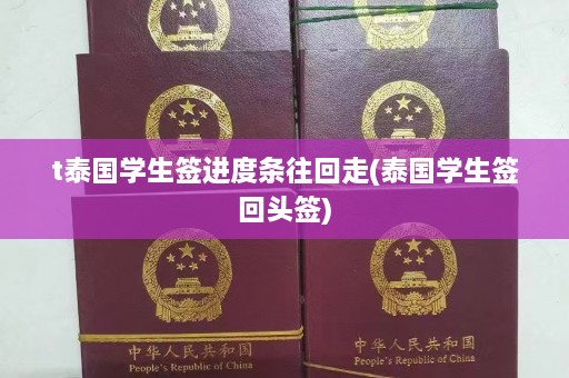 t泰国学生签进度条往回走(泰国学生签回头签)