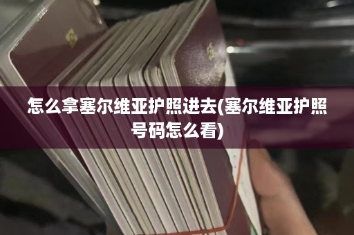 怎么拿塞尔维亚护照进去(塞尔维亚护照号码怎么看)  第1张