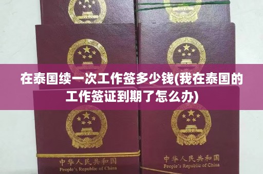 在泰国续一次工作签多少钱(我在泰国的工作签证到期了怎么办)