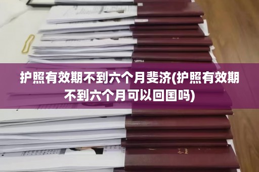 护照有效期不到六个月斐济(护照有效期不到六个月可以回国吗)  第1张