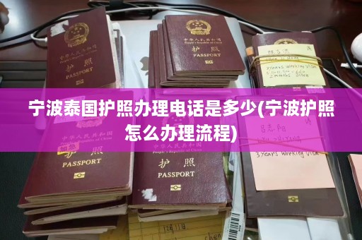 宁波泰国护照办理电话是多少(宁波护照怎么办理流程)  第1张