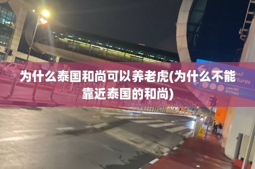 为什么泰国和尚可以养老虎(为什么不能靠近泰国的和尚)