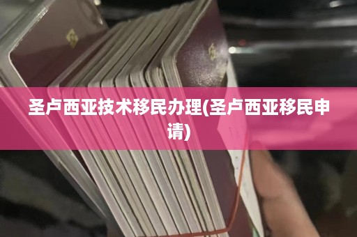 圣卢西亚技术移民办理(圣卢西亚移民申请)  第1张