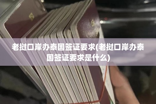 老挝口岸办泰国签证要求(老挝口岸办泰国签证要求是什么)  第1张