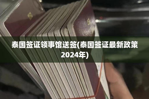 泰国签证领事馆送签(泰国签证最新政策2024年)