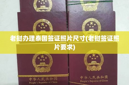 老挝办理泰国签证照片尺寸(老挝签证照片要求)  第1张