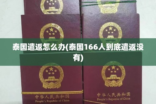 泰国遣返怎么办(泰国166人到底遣返没有)  第1张