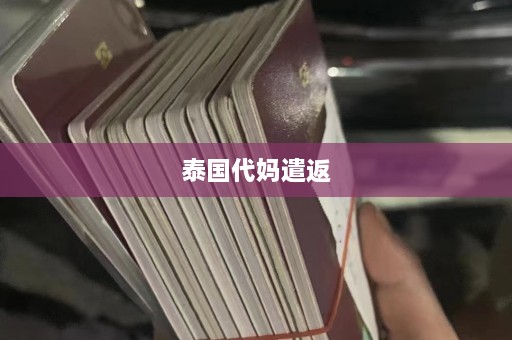 泰国代妈遣返  第1张