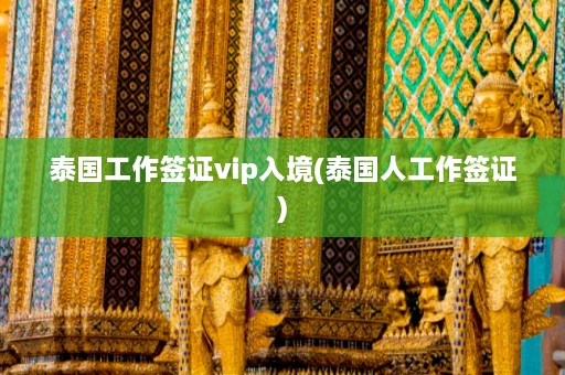 泰国工作签证vip入境(泰国人工作签证)  第1张