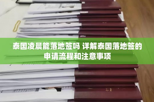 泰国凌晨能落地签吗 详解泰国落地签的申请流程和注意事项