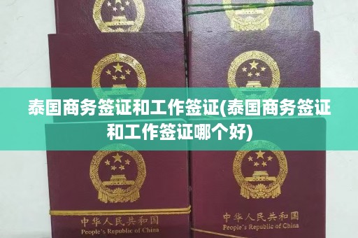 泰国商务签证和工作签证(泰国商务签证和工作签证哪个好)  第1张