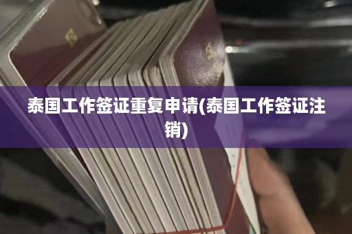 泰国工作签证重复申请(泰国工作签证注销)  第1张