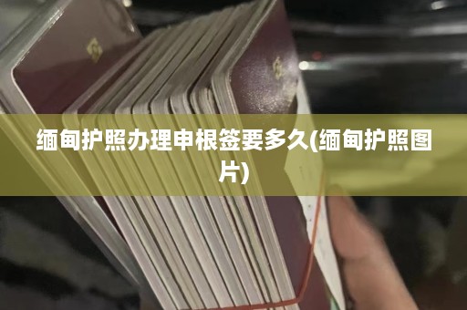 缅甸护照办理申根签要多久(缅甸护照图片)  第1张