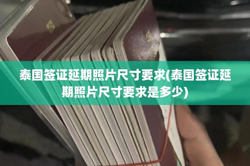 泰国签证延期照片尺寸要求(泰国签证延期照片尺寸要求是多少)  第1张