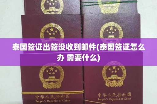 泰国签证出签没收到邮件(泰国签证怎么办 需要什么)