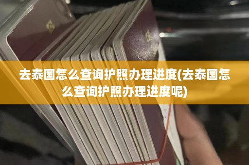 去泰国怎么查询护照办理进度(去泰国怎么查询护照办理进度呢)  第1张