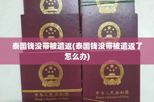 泰国钱没带被遣返(泰国钱没带被遣返了怎么办)  第1张