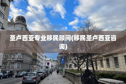 圣卢西亚专业移民顾问(移民圣卢西亚咨询)