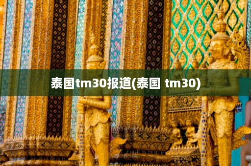 泰国tm30报道(泰国 tm30)