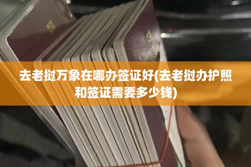 去老挝万象在哪办签证好(去老挝办护照和签证需要多少钱)  第1张