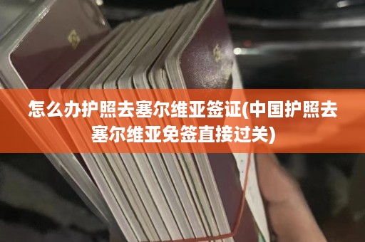 怎么办护照去塞尔维亚签证(中国护照去塞尔维亚免签直接过关)  第1张