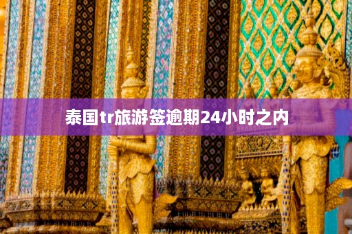 泰国tr旅游签逾期24小时之内  第1张