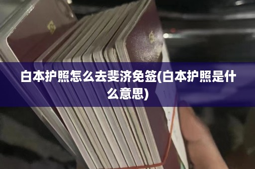 白本护照怎么去斐济免签(白本护照是什么意思)  第1张