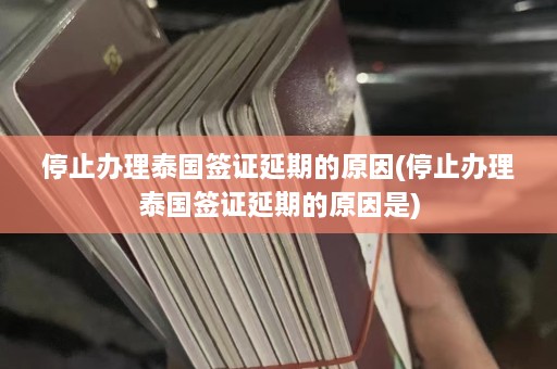 停止办理泰国签证延期的原因(停止办理泰国签证延期的原因是)