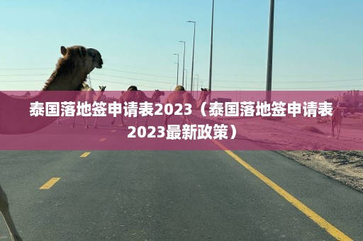 泰国落地签申请表2023（泰国落地签申请表2023最新政策）