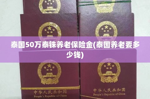 泰国50万泰铢养老保险金(泰国养老要多少钱)