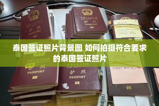 泰国签证照片背景图 如何拍摄符合要求的泰国签证照片  第1张