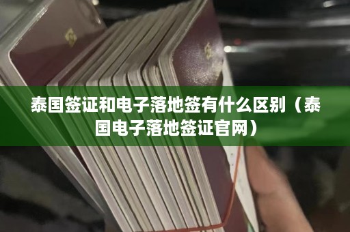 泰国签证和电子落地签有什么区别（泰国电子落地签证官网）  第1张