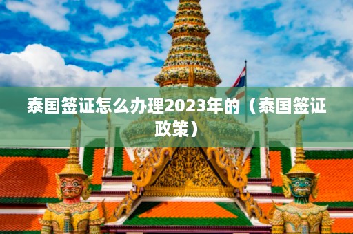 泰国签证怎么办理2023年的（泰国签证政策）  第1张