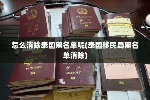 怎么消除泰国黑名单呢(泰国移民局黑名单消除)