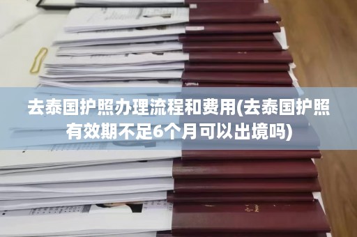 去泰国护照办理流程和费用(去泰国护照有效期不足6个月可以出境吗)