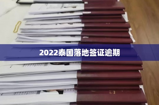 2022泰国落地签证逾期