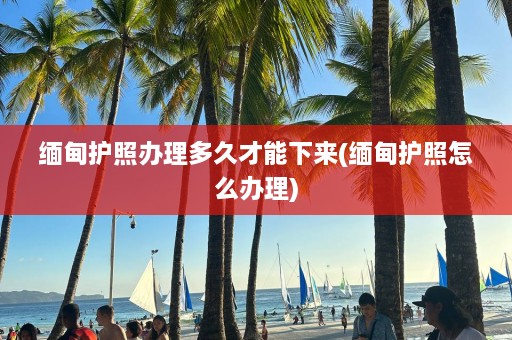 缅甸护照办理多久才能下来(缅甸护照怎么办理)  第1张