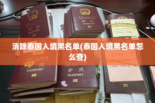 消除泰国入境黑名单(泰国入境黑名单怎么查)