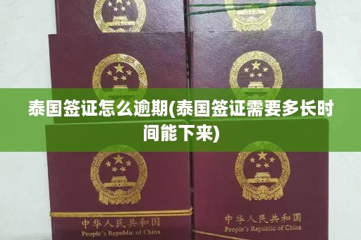 泰国签证怎么逾期(泰国签证需要多长时间能下来)  第1张