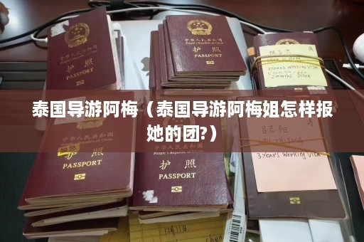 泰国导游阿梅（泰国导游阿梅姐怎样报她的团?）