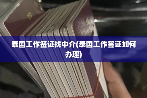 泰国工作签证找中介(泰国工作签证如何办理)  第1张