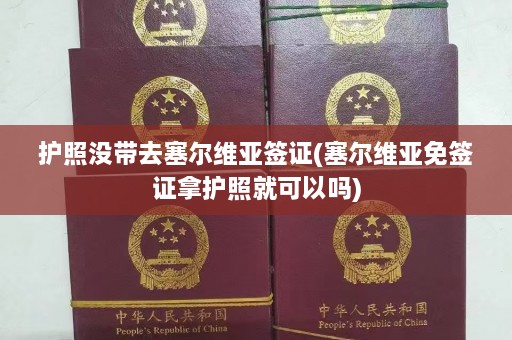 护照没带去塞尔维亚签证(塞尔维亚免签证拿护照就可以吗)  第1张