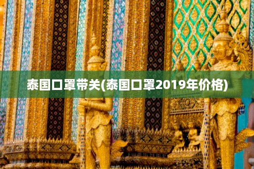 泰国口罩带关(泰国口罩2019年价格)  第1张