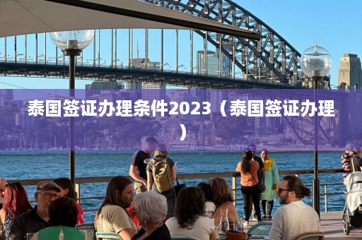 泰国签证办理条件2023（泰国签证办理）