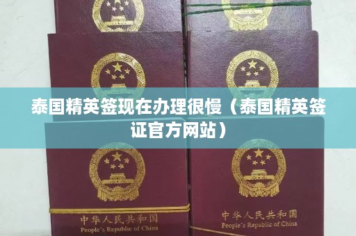 泰国精英签现在办理很慢（泰国精英签证 *** 网站）  第1张