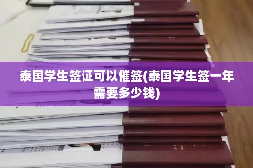 泰国学生签证可以催签(泰国学生签一年需要多少钱)  第1张