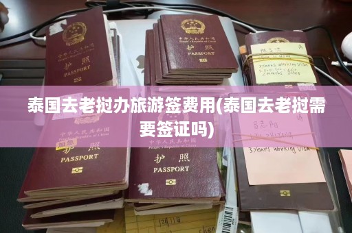 泰国去老挝办旅游签费用(泰国去老挝需要签证吗)