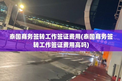 泰国商务签转工作签证费用(泰国商务签转工作签证费用高吗)  第1张